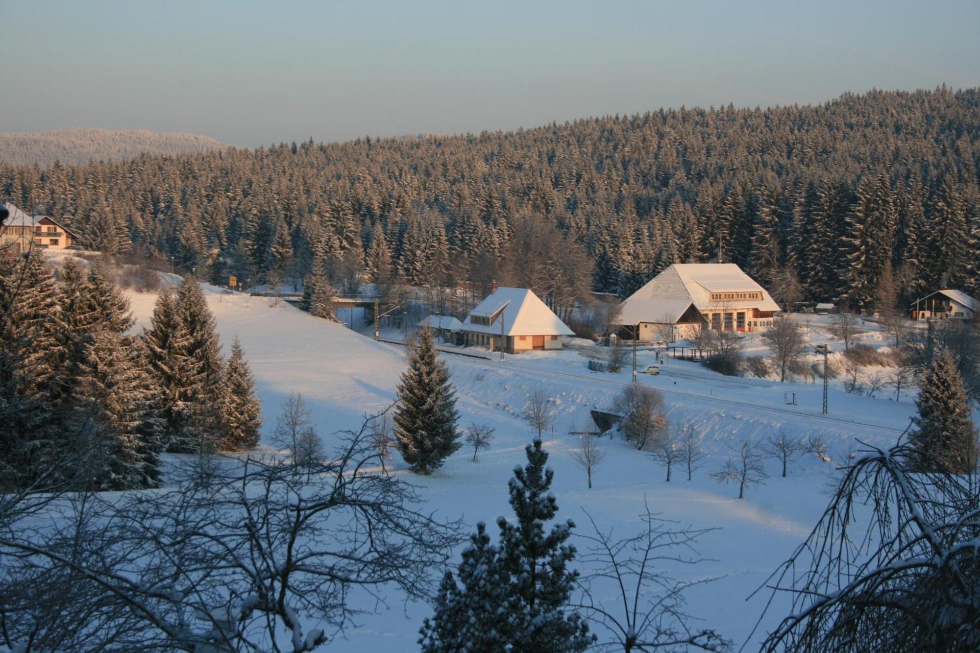 Hotel Waldeck Mit Restaurant "Florian'S" Feldberg  Eksteriør bilde