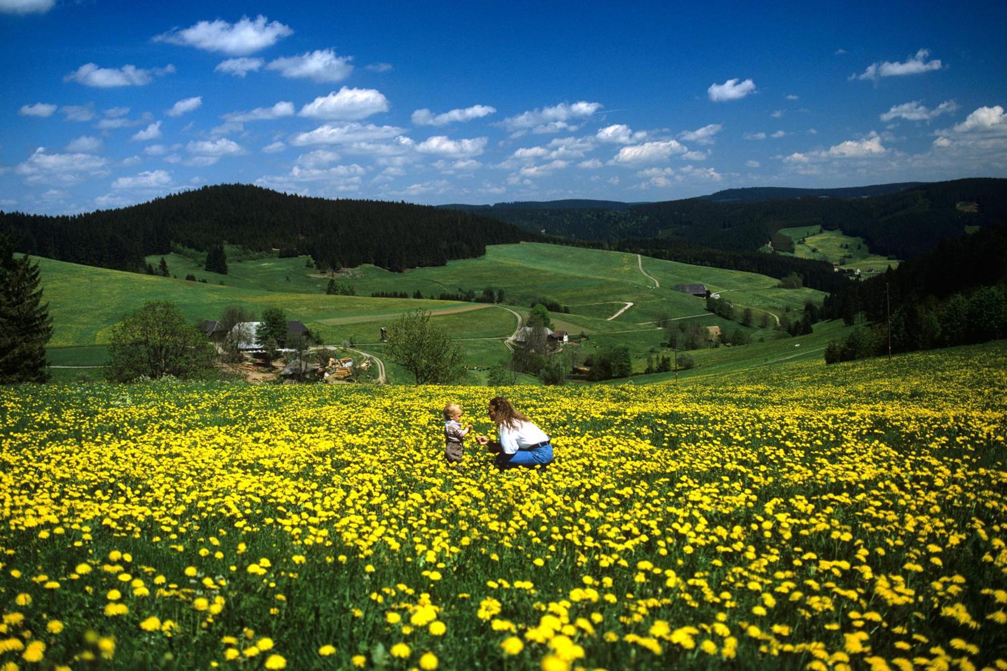 Hotel Waldeck Mit Restaurant "Florian'S" Feldberg  Eksteriør bilde