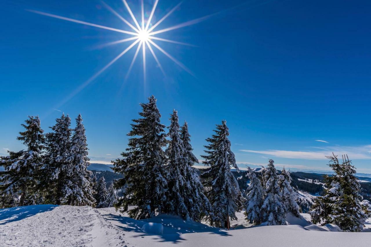 Hotel Waldeck Feldberg  Eksteriør bilde